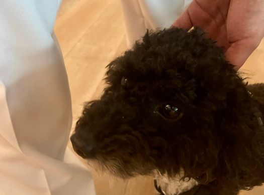 Weihnachtsfeier komma,tec red 2025 6